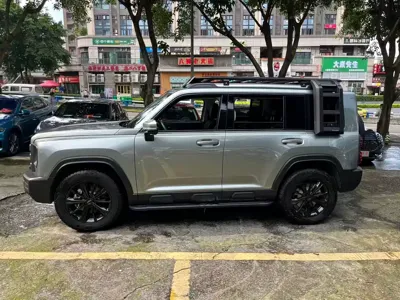 Haval Menglong New Energy 2024, 20000 км, за 17677.59 USD