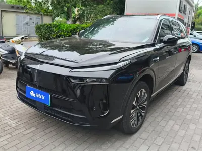 WEY Wey Lanshan · 2024 год