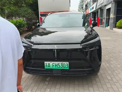 WEY Wey Lanshan 2024, 48099 км, за 22365.66 USD