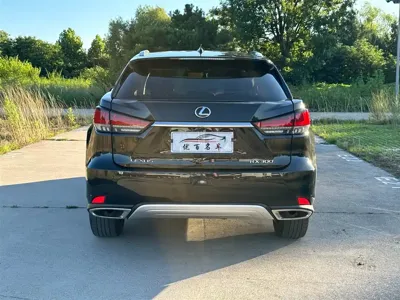 Lexus RX 2020, 104000 км, за 26506.77 USD