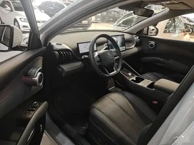 BYD Yuan Plus 2025, 3500 км, за 14866.86 USD - фото 16