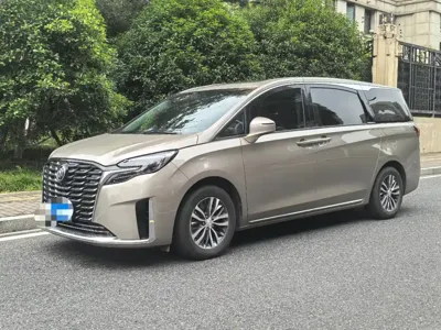 Buick GL8 · 2024 год