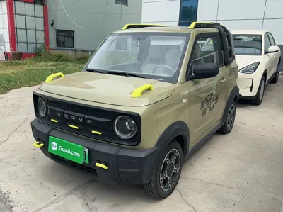 Geely Galaxy Panda · 2025 год