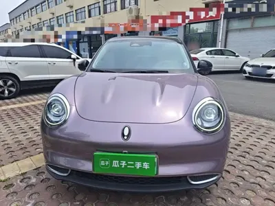 ORA Ora Good Cat 2022, 57699 км, за 8563.7 USD