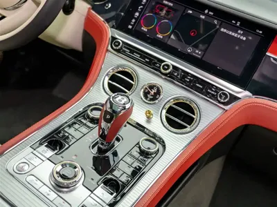 Bentley Continental 2023, 35000 км, за 360989.21 USD - фото 19
