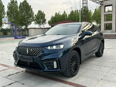 WEY VV7 · 2019 год