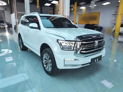 Tank Tank 500 New Energy 2024, 44800 км, за 38043.84 USD