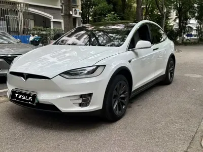 Tesla Model X · 2018 год