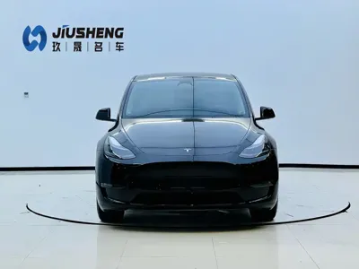 Tesla Model Y 2023, 53000 км, за 26927.08 USD
