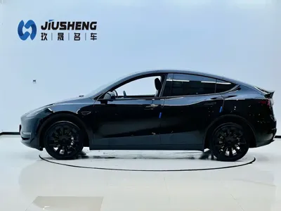 Tesla Model Y 2023, 53000 км, за 26927.08 USD