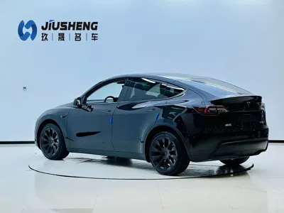 Tesla Model Y 2023, 53000 км, за 26927.08 USD