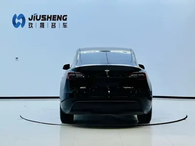 Tesla Model Y 2023, 53000 км, за 26927.08 USD