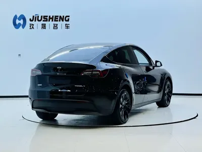 Tesla Model Y 2023, 53000 км, за 26927.08 USD - фото 6