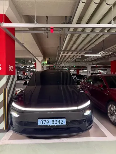 Tesla Model Y · 2025 год