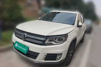 Volkswagen Tiguan · 2015 год