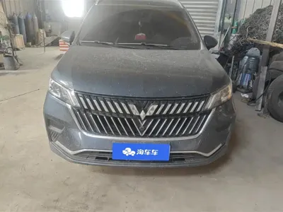 Wuling Jiachen 2024, 53400 км, за 6179.99 USD
