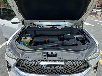 Haval F7x 2021, 71000 км, за 6463.09 USD - фото 17