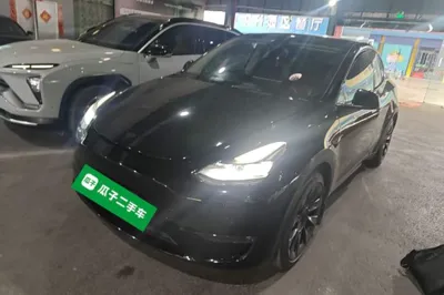 Tesla Model Y · 2022 год