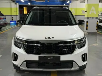 Kia Seltos 2023, 30000 км, за 17492.91 USD