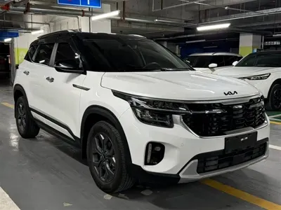 Kia Seltos 2023, 30000 км, за 17492.91 USD
