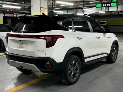 Kia Seltos 2023, 30000 км, за 17492.91 USD