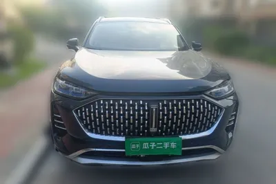 WEY Mocha 2021, 89100 км, за 12847 USD