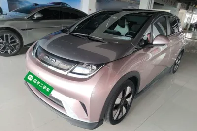 BYD Dolphin · 2021 год