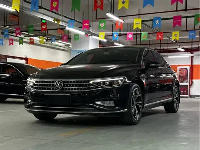 Volkswagen Magotan · 2021 год