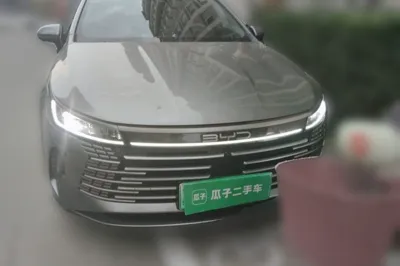 BYD Destroyer 05 2022, 55400 км, за 9015 USD