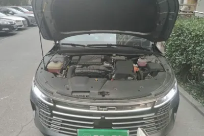 BYD Destroyer 05 2022, 55400 км, за 9015 USD - фото 21
