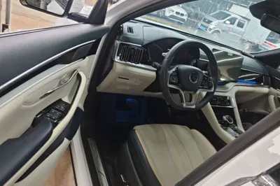 BYD Song PLUS New Energy 2021, 37800 км, за 13793 USD - фото 27