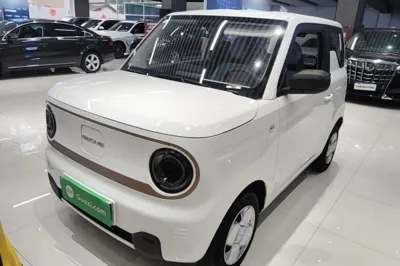 Geely Galaxy Panda · 2024 год