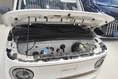 Geely Galaxy Panda 2024, 31200 км, за 5972 USD - фото 24