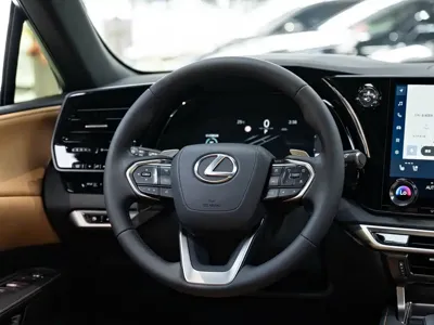 Lexus RX 2024, 22300 км, за 50996.44 USD - фото 14