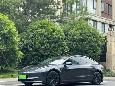Tesla Model 3 · 2025 год
