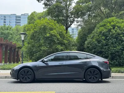 Tesla Model 3 2025, 45000 км, за 26456.23 USD