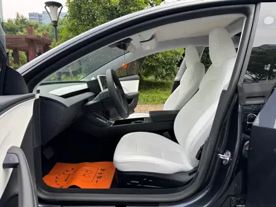 Tesla Model 3 2025, 45000 км, за 26456.23 USD