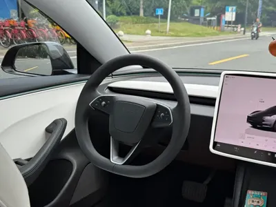 Tesla Model 3 2025, 45000 км, за 26456.23 USD - фото 7
