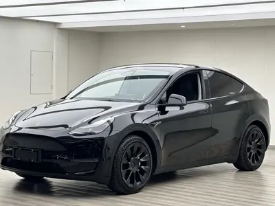 Tesla Model Y · 2021 год