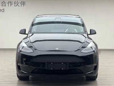 Tesla Model Y 2021, 103000 км, за 19099.1 USD