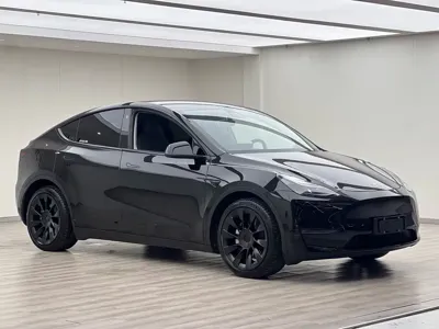 Tesla Model Y 2021, 103000 км, за 19099.1 USD