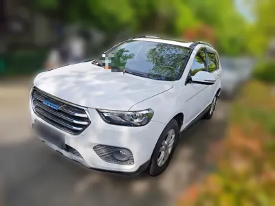 Haval H6 · 2017 год