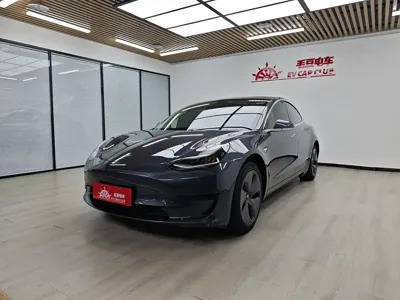 Tesla Model 3 · 2020 год