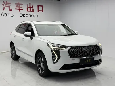 Haval Chulian 2022, 51000 км, за 11594.83 USD