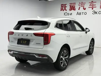Haval Chulian 2022, 51000 км, за 11594.83 USD