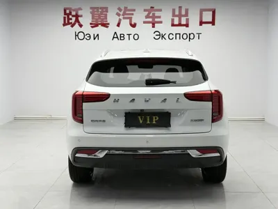 Haval Chulian 2022, 51000 км, за 11594.83 USD