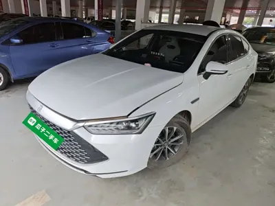 BYD Qin Plus · 2024 год