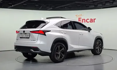 Lexus NX 2018, 131550 км, за 16738.87 USD