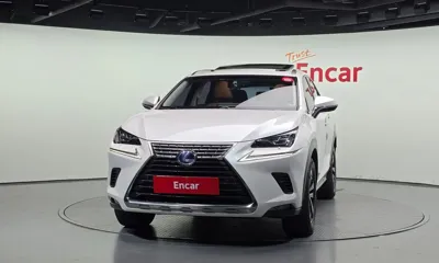 Lexus NX 2018, 131550 км, за 16738.87 USD