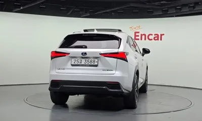Lexus NX 2018, 131550 км, за 16738.87 USD
